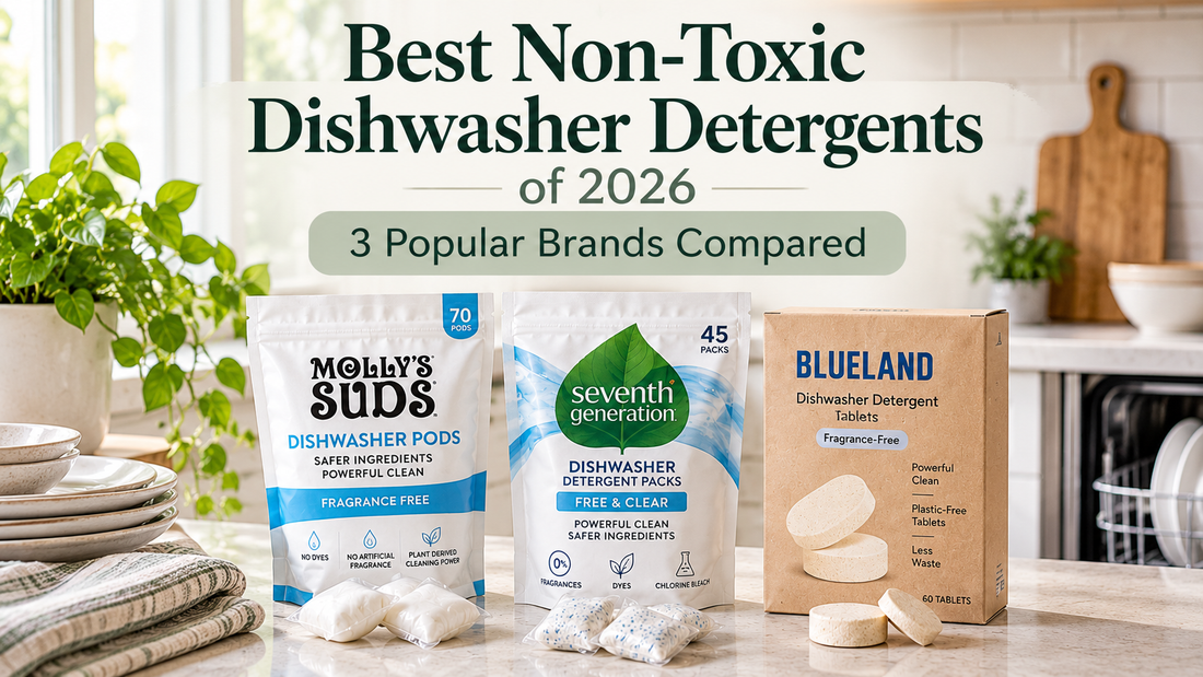 Molly’s Suds, Seventh Generation, and Blueland dishwasher detergents compared on a bright kitchen countertop for BodyWell1.