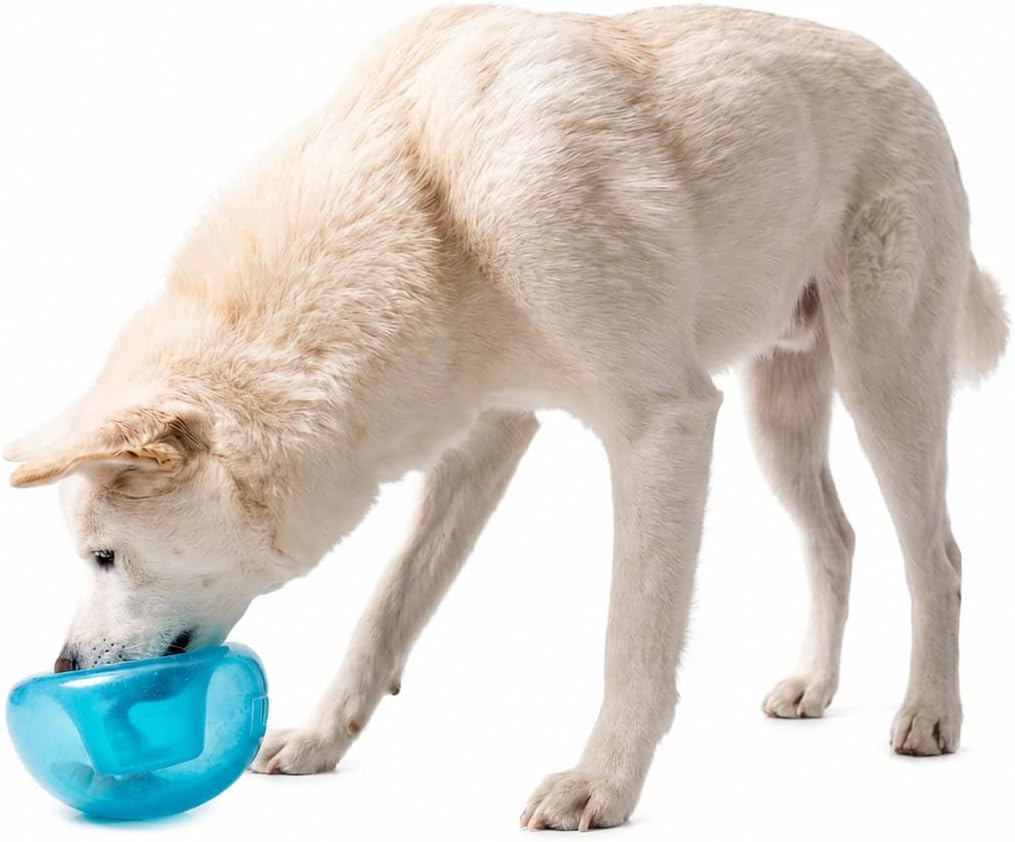 Dog playing with blue Outward Hound Orbee-Tuff Snoop treat dispensing enrichment toy
