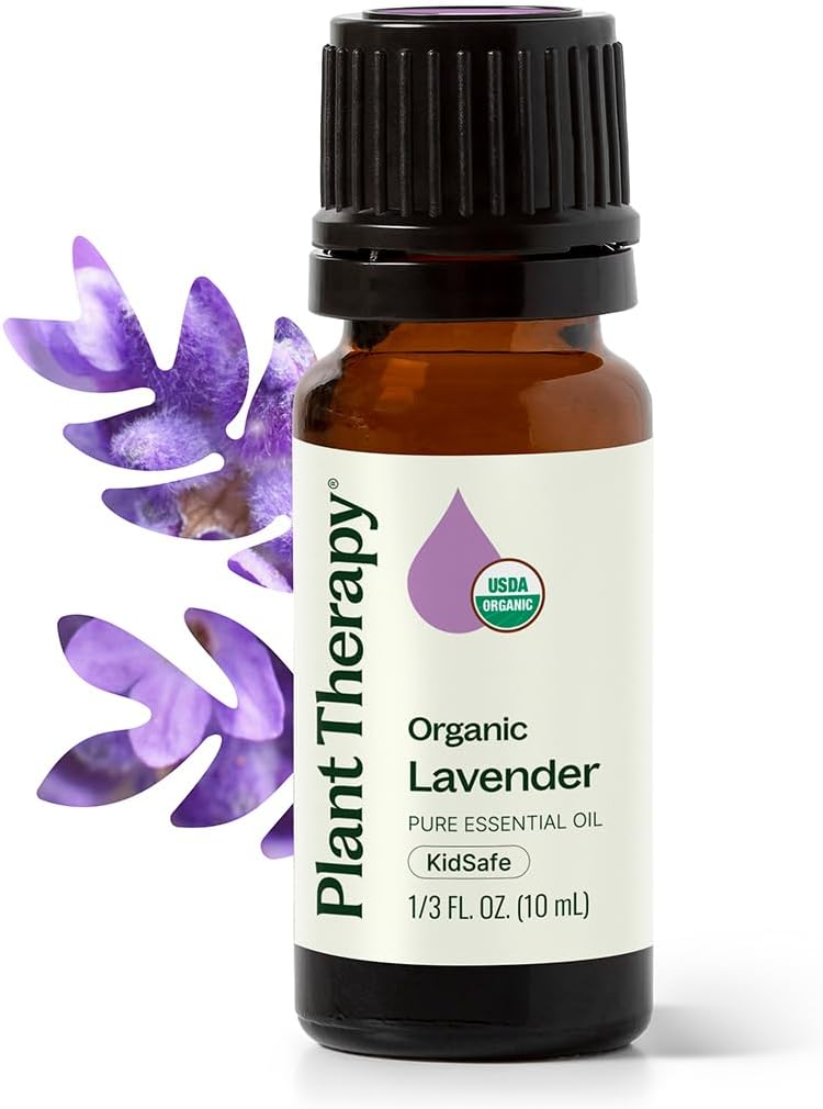 Plant Therapy Organic Lavender Essential Oil 10 mL amber glass bottle with cream label showing USDA Organic seal and KidSafe badge, purple lavender drop logo, with soft purple lavender flower beside bottle on white background